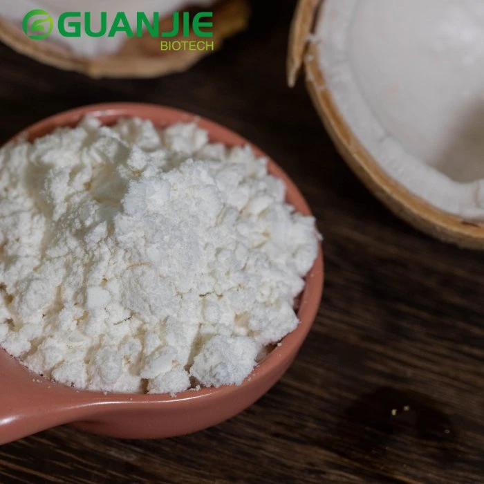 Coconut Bulk Powder Coconut Bulk Powder