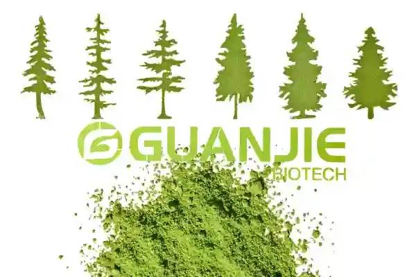 抹茶はどうやって作られるの？