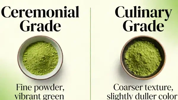 儀式用と料理用の抹茶パウダーの違いは何ですか?